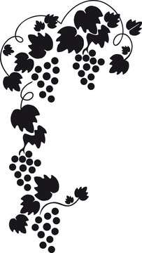 racimo silueta