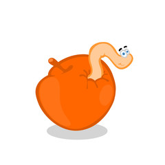 Worm inside the apple