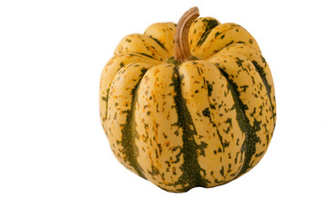 yellow squash
