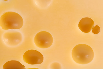 Piece of tasty cheese