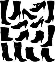collection of women's shoes