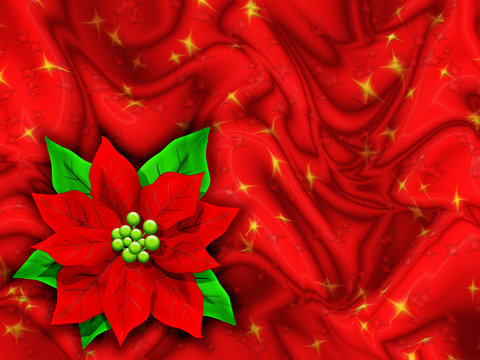 Stella di Natale Auguri-Christmas Card-Fleur d'Amour Noël