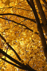 Herbst 12