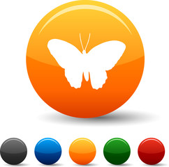 Butterfly icon set. Vector illustration