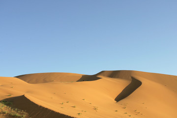 Fototapeta na wymiar Dune del Deserto #5