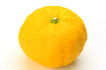 citrus fruits(yuzu)