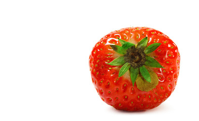 Fresh Strawberry