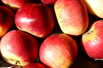 pommes-5225