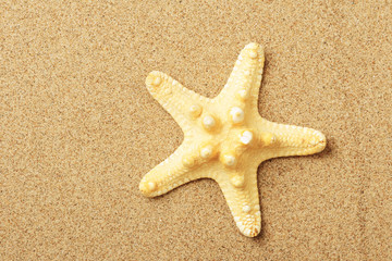 Fototapeta na wymiar Starfish lie on seacoast