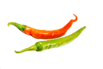 Chilli pepper