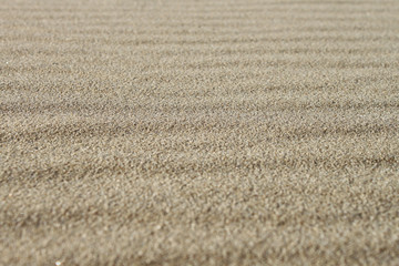 Sand background texture