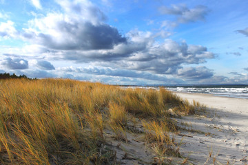 Beach landscape horizontal