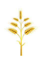 Vector wheat