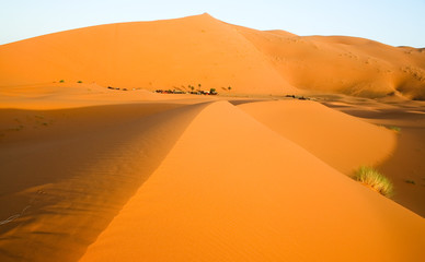 Fototapeta na wymiar Moroccan desert dune background