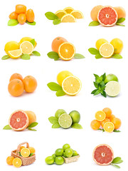 citrus fruit collection