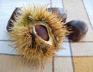 Chestnuts