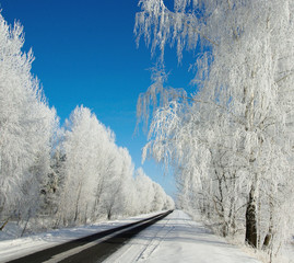 Winter road on a sunny frosty day
