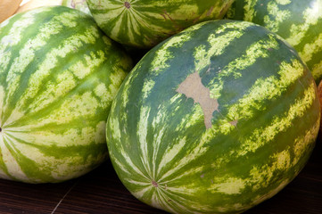 water-melon