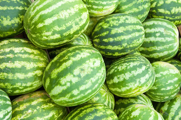 water-melon