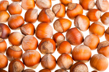 hazelnut