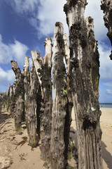 plage de Saint Malo