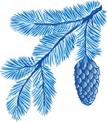 blue branch of fir-tree with cone