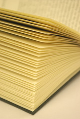 Buch, Roman