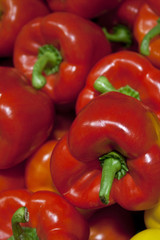 Paprika