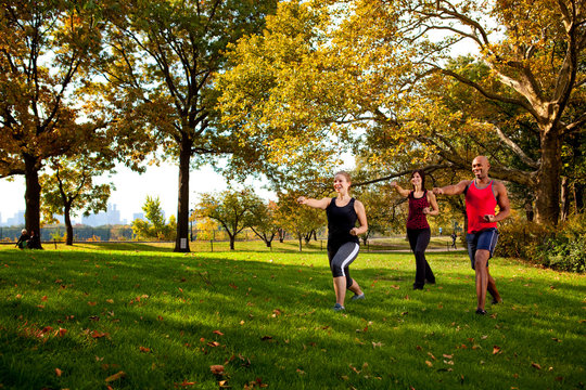 Martial Arts Park