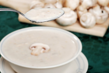 Fototapeta na wymiar hearty mushroom soup
