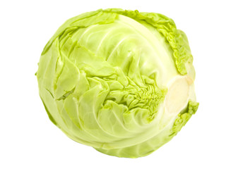 Fototapeta premium Head of Cabbage