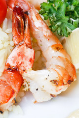 king tiger prawn shrimp with rice.