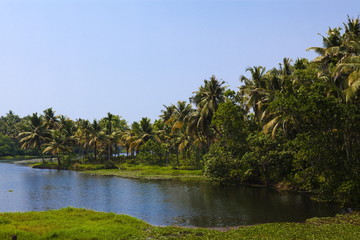backwaters of cochin