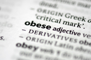 Obese (Word)