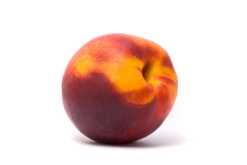 One beautiful juicy nectarine