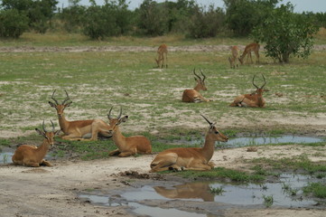 KONICA MINOLTA DIGITAL CAMERA