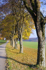 Herbstweg