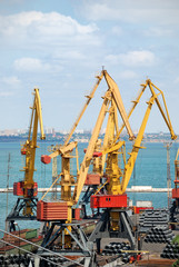 Port warehouse with cargoes and containers