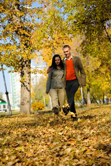 Naklejka premium young couple walking in the park in yellow leafs