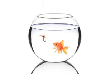 Fish bowl with a fishing hook and a fish