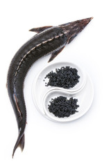 Raw sturgeon with black caviar on white background - obrazy, fototapety, plakaty
