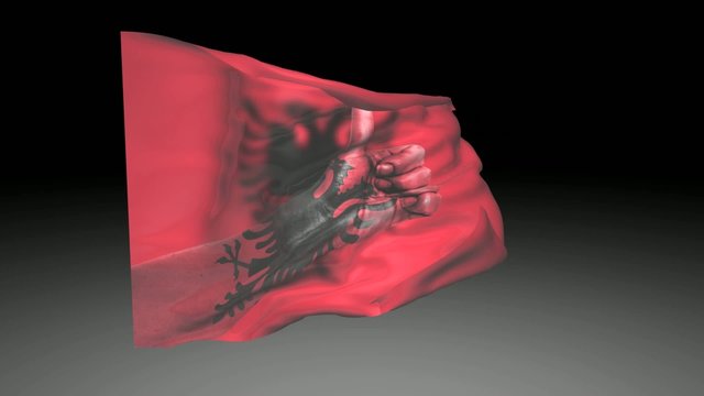 Video Bandiera Europa