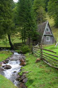 Carpathian's stream