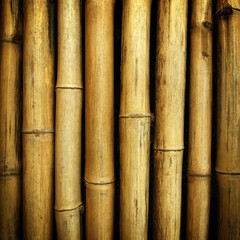 bamboo background