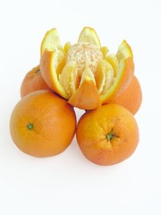 oranges