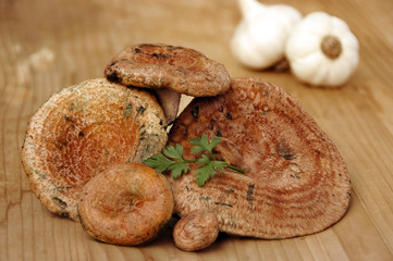rovellons