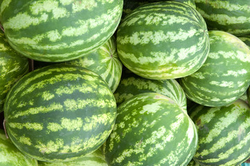 water-melon