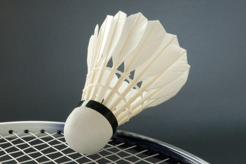 Badminton Ausrüstung Badminton Ausrüstung