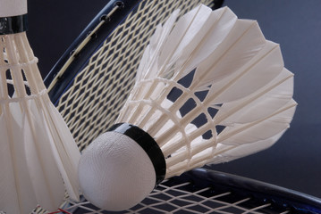 Badminton Federb&auml;lle
