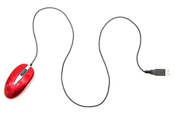 computer mouse